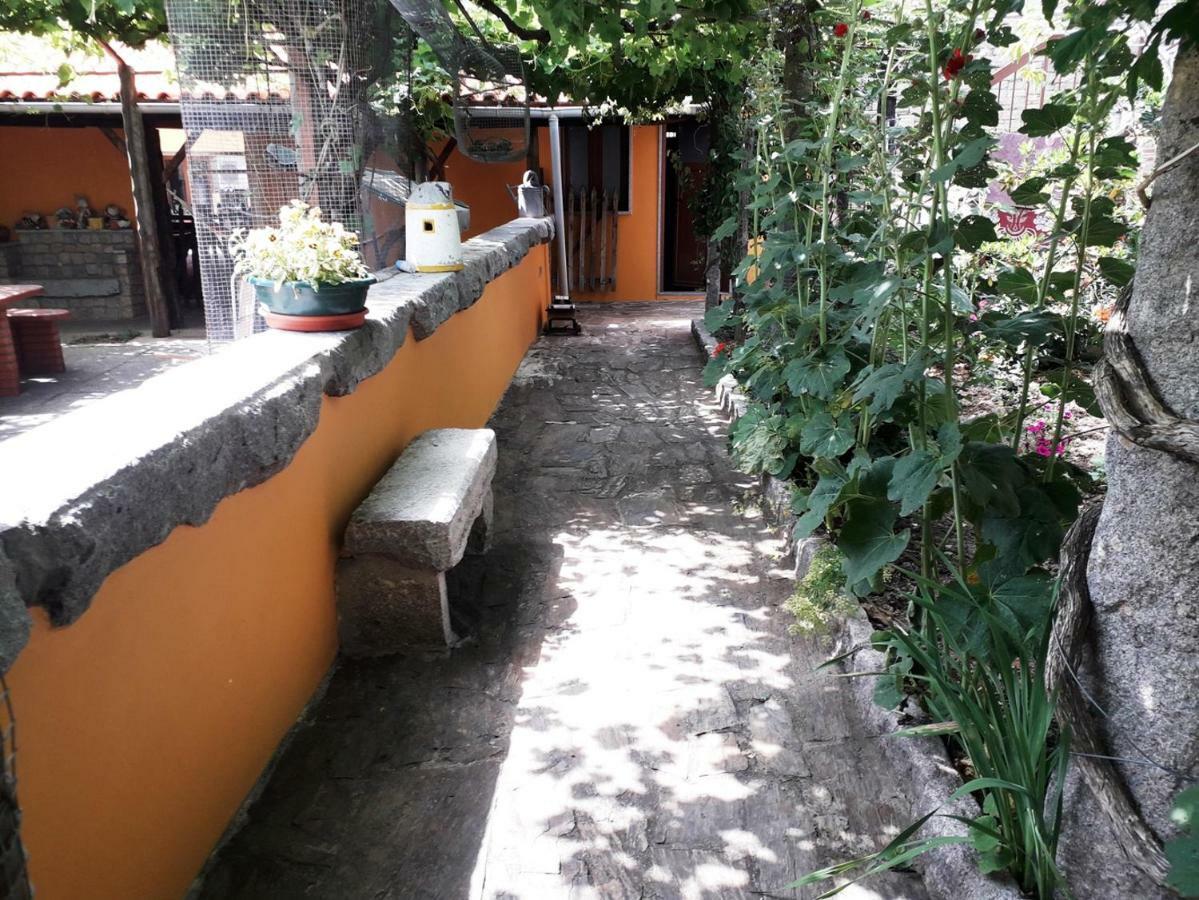 Quinta Da Moagem Villa Macedo de Cavaleiros Bagian luar foto